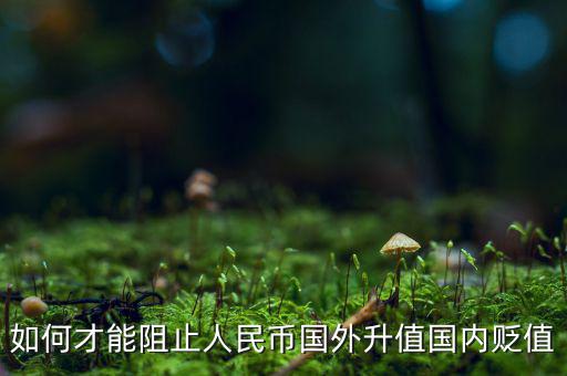 人民幣大貶值怎么辦,你認為應怎么辦