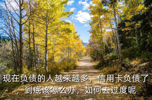 負債多怎么辦,現在負債的人越來越多