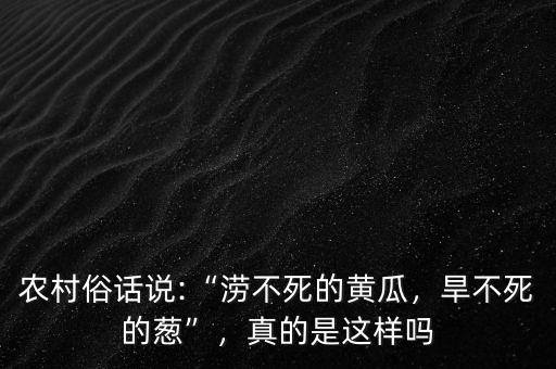 農村俗話說:“澇不死的黃瓜，旱不死的蔥”，真的是這樣嗎