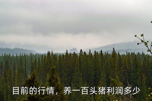 目前的行情，養一百頭豬利潤多少