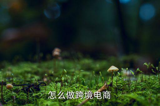 怎么開展跨境電商業務,怎么做跨境電商