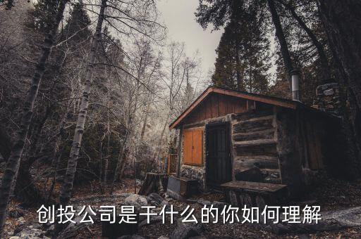 創投公司是干什么的你如何理解