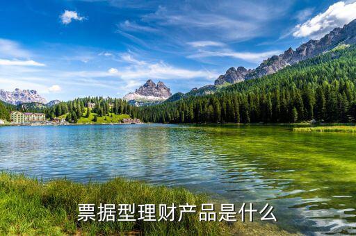 人民幣票據是什么,票據理財是什么