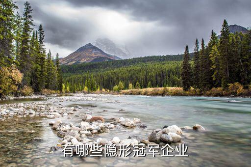 有哪些隱形冠軍企業