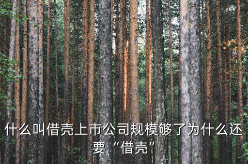 什么叫借殼上市公司規模夠了為什么還要“借殼”