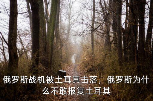 俄羅斯戰(zhàn)機被土耳其擊落，俄羅斯為什么不敢報復(fù)土耳其