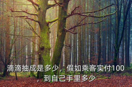 滴滴抽成是多少，假如乘客實付100，到自己手里多少