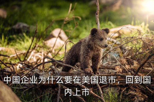 中國企業為什么要在美國退市，回到國內上市