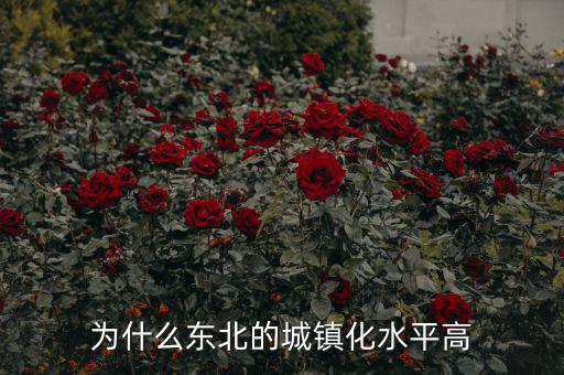 為什么東北的城鎮化水平高