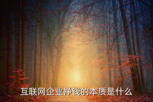 東軟企業的本質是什么,互聯網企業掙錢的本質是什么