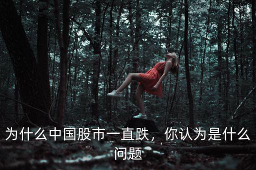 為什么中國股市一直跌，你認為是什么問題