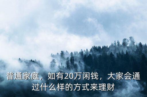 普通家庭，如有20萬閑錢，大家會通過什么樣的方式來理財
