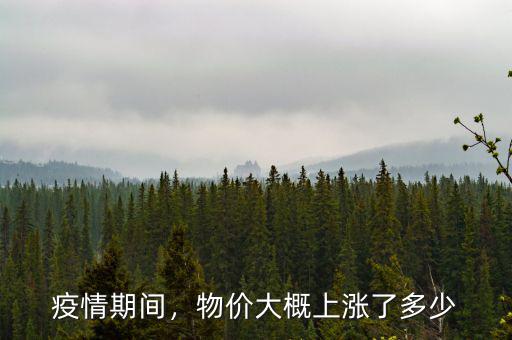 疫情期間，物價大概上漲了多少