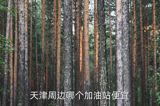 天津環宇加油站的油怎么樣,小加油站的油到底怎么樣