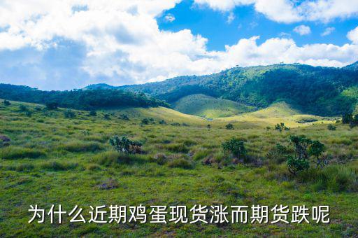 雞蛋期貨關注什么數據,雞蛋期貨如何選擇方向