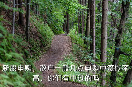 新股申購，散戶一般幾點申購中簽概率高，你們有中過的嗎