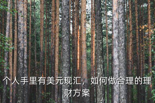 個人手里有美元現匯，如何做合理的理財方案