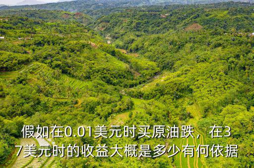 假如在0.01美元時買原油跌，在37美元時的收益大概是多少有何依據