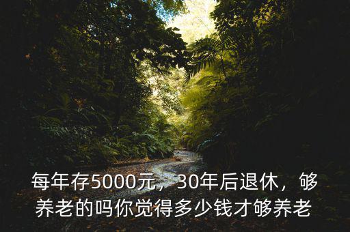 每年存5000元，30年后退休，夠養老的嗎你覺得多少錢才夠養老