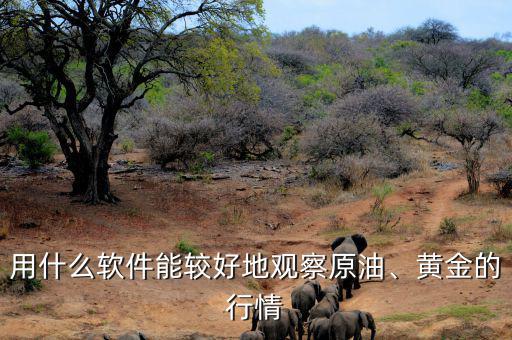 用什么軟件能較好地觀察原油、黃金的行情