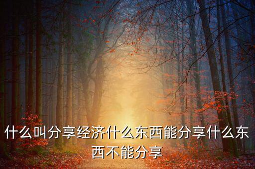兩會分享經濟分享什么的圖片,什么叫分享經濟