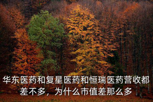 華東醫藥和復星醫藥和恒瑞醫藥營收都差不多，為什么市值差那么多