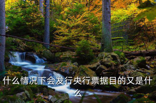 發行票據什么意思,目的又是什么