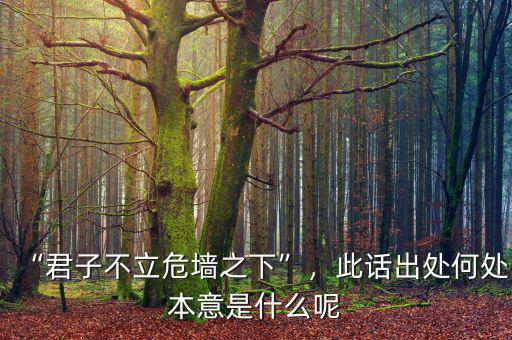 “君子不立危墻之下”，此話(huà)出處何處本意是什么呢