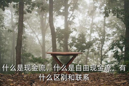 什么是現(xiàn)金流，什么是自由現(xiàn)金流，有什么區(qū)別和聯(lián)系