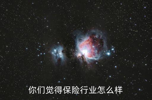 你們覺得保險行業怎么樣