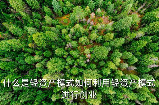 什么是輕資產模式如何利用輕資產模式進行創業