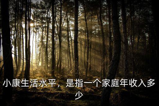 小康生活水平，是指一個家庭年收入多少