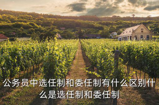 公務員中選任制和委任制有什么區別什么是選任制和委任制