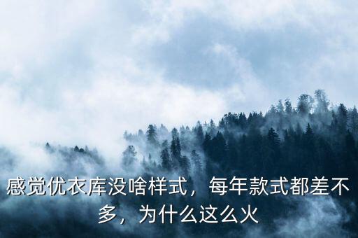 感覺優衣庫沒啥樣式，每年款式都差不多，為什么這么火