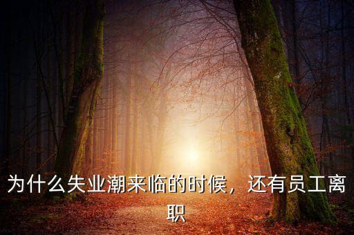 為什么失業潮來臨的時候，還有員工離職