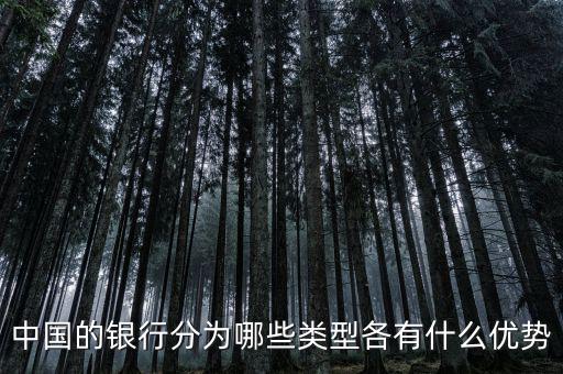 中國的銀行分為哪些類型各有什么優勢