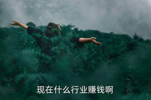 中國現在沒什么賺錢的,是什么原因引起的