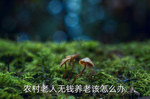 養老怎么辦,農村老人的養老困境怎么辦