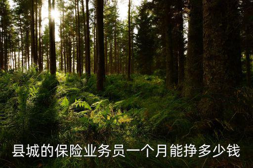 縣城的保險業務員一個月能掙多少錢