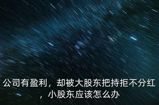 公司有盈利，卻被大股東把持拒不分紅，小股東應該怎么辦