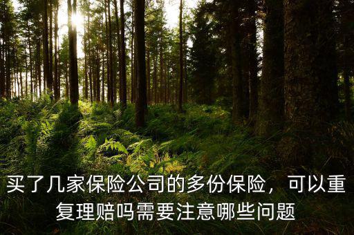 買了幾家保險公司的多份保險，可以重復理賠嗎需要注意哪些問題