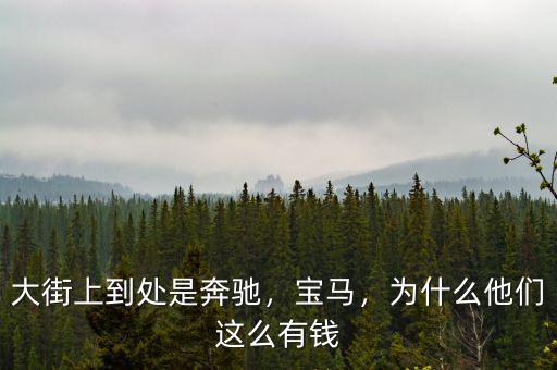 大街上到處是奔馳，寶馬，為什么他們這么有錢