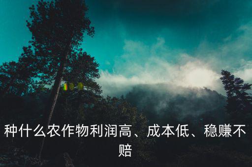 種什么農作物利潤高、成本低、穩賺不賠