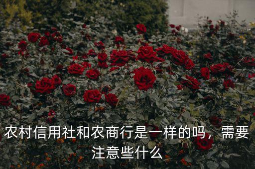 農村信用社和農商行是一樣的嗎，需要注意些什么