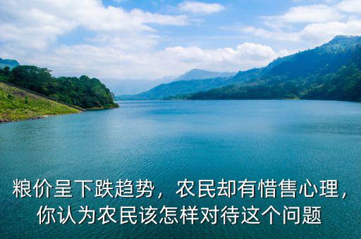 糧價呈下跌趨勢，農(nóng)民卻有惜售心理，你認為農(nóng)民該怎樣對待這個問題