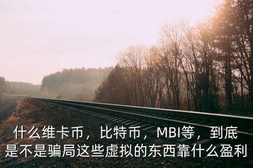 什么維卡幣，比特幣，MBI等，到底是不是騙局這些虛擬的東西靠什么盈利