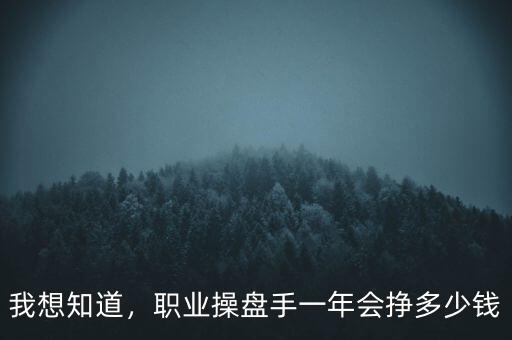 我想知道，職業操盤手一年會掙多少錢