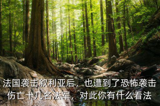 法國襲擊敘利亞后，也遭到了恐怖襲擊傷亡十幾名法軍，對此你有什么看法