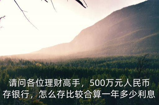 請(qǐng)問(wèn)各位理財(cái)高手，500萬(wàn)元人民幣存銀行，怎么存比較合算一年多少利息