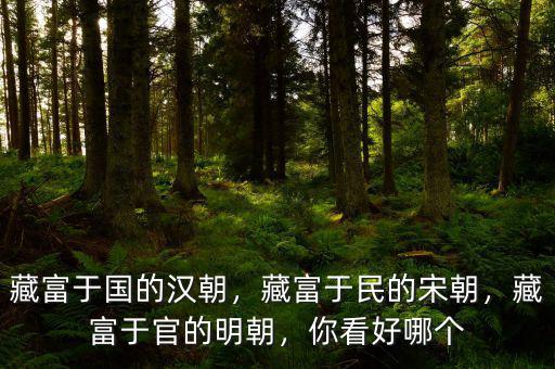 藏富于國(guó)的漢朝，藏富于民的宋朝，藏富于官的明朝，你看好哪個(gè)